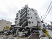 パラティーノ井東