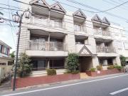 パインツリーハウス