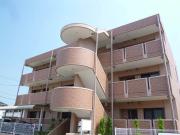 KOHOKU MTY A