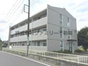 ドリーム