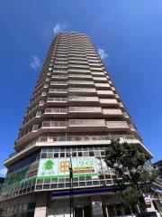 THE HASHIMOTO TOWER
