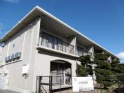 パルデンス桔梗B