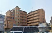 IL PALAZZO 