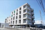 BELLCOURT松並木
