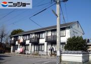 エヴァーグリーン若林