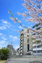 ラ・レジェンダ白川公園