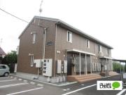 エバーグリーン