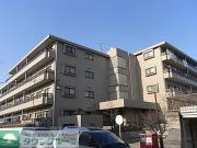 アベニュー弐番館