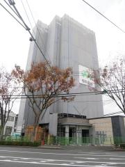 コージースタイル