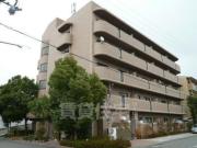 南海本線諏訪ノ森駅まで徒歩17分