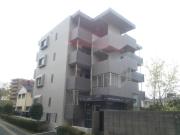 Sky Design 