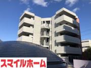 Ns21やごと