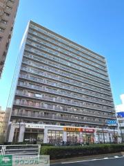 エスティメゾン大島