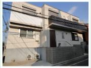 Y′s court