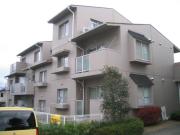 シェル井野