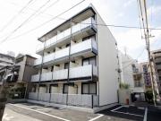 椎の実4