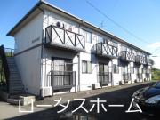 サンハウスII