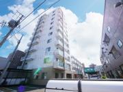 saphir菊水