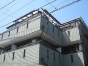 アロハ マイ