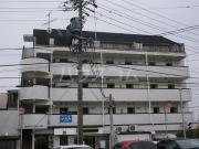 White Hills名高