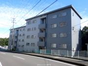 サルヴァトーレ堂崎