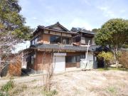 そよ風と木もれ日のcocoa