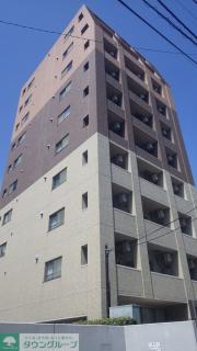 S-FORT柏