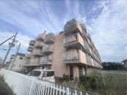 ニューエストタカダ