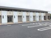 ダンデライオン B