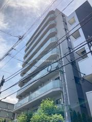 MODIER YOYOGI