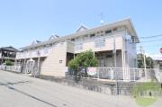 サンカレッジ