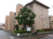 市営高殿西住宅5号館