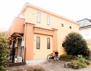 マグノリアステラータマキシマ