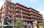 都営大江戸線光が丘駅まで徒歩9分