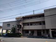 VITA壱分