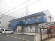 タゥニイ花房