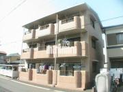 S-PALACEIV
