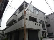 フラットコート