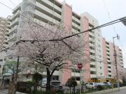 桜川グリーンコーポラス