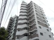 HACHIBUSE帝塚山