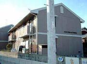 セントラルハイツ今村 A棟