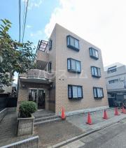 Azalea柴又