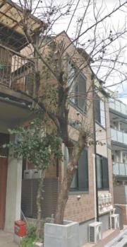 京王線代田橋駅まで徒歩7分