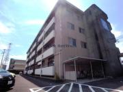 U・TOPIA43A