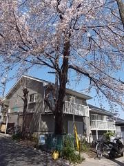 グリーンバレーB