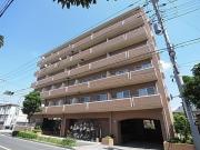 SPRING COURT