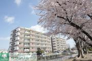 T-ONE MIYAHARA West