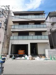 ソフィア グリーン