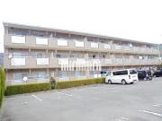ベルハイム木の宮