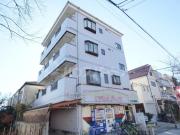 パール街路樹